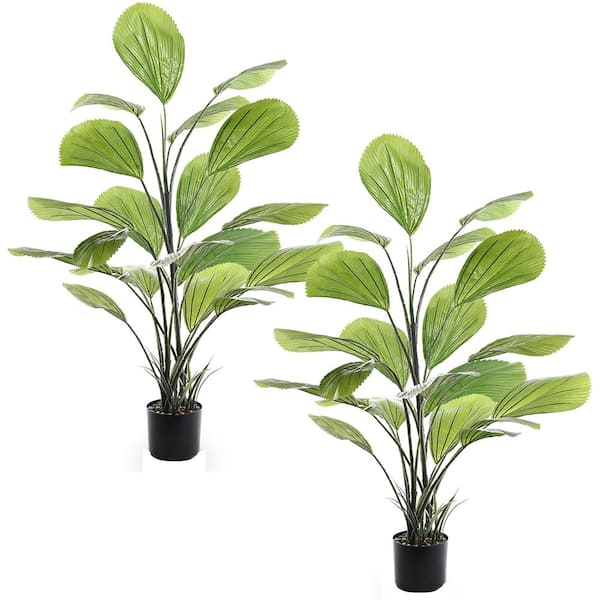 FOREVER LEAF 47.2 in. Fan Palm (2 pack) Indoor Plant Licuala Grandis ...