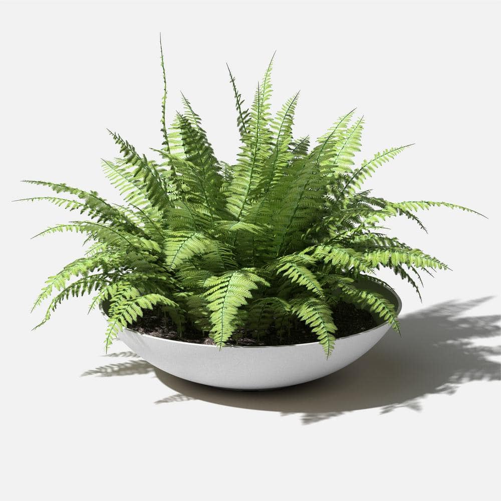 Lane Bowl 32" White Plastic-Stone Composite Round Planter