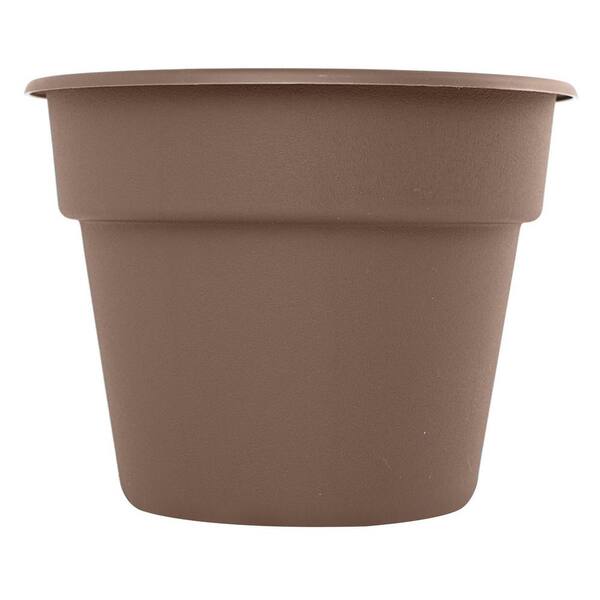 Bloem 6 in. Curated Dura Cotta Plastic Planter