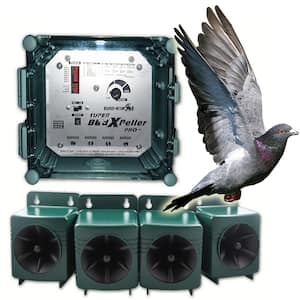 Bird-X Woodpecker Pro Electronic Bird Repeller Guaranteed Woodpecker  Control Solution 1-Acre Coverage-BXP-PRO WP - The Home Depot