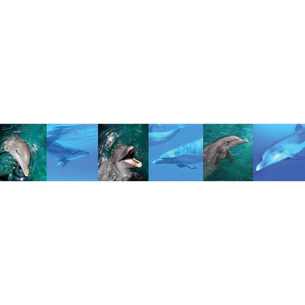 National Geographic Dolphins Wallpaper Border Sample