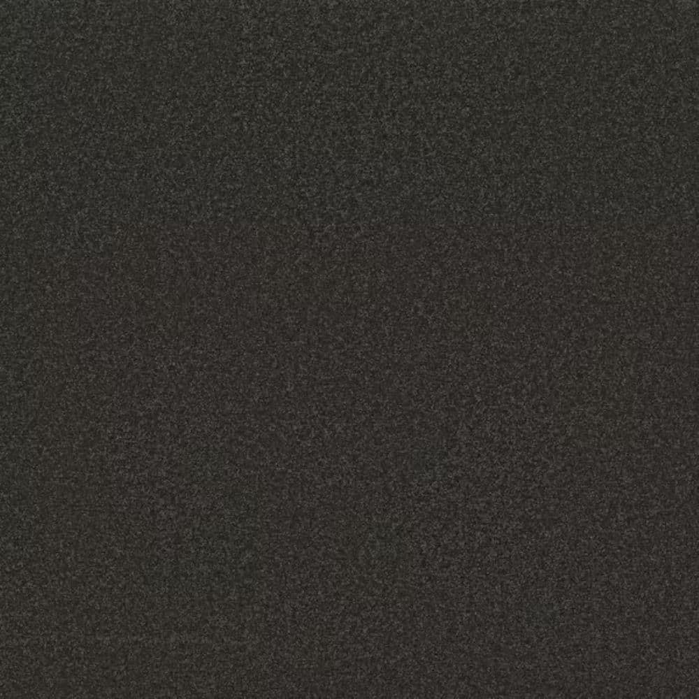 8 in. x 8 in. Texture Carpet Sample-Park Royal II-Color Coffee Bean price history on PriceWatchPro