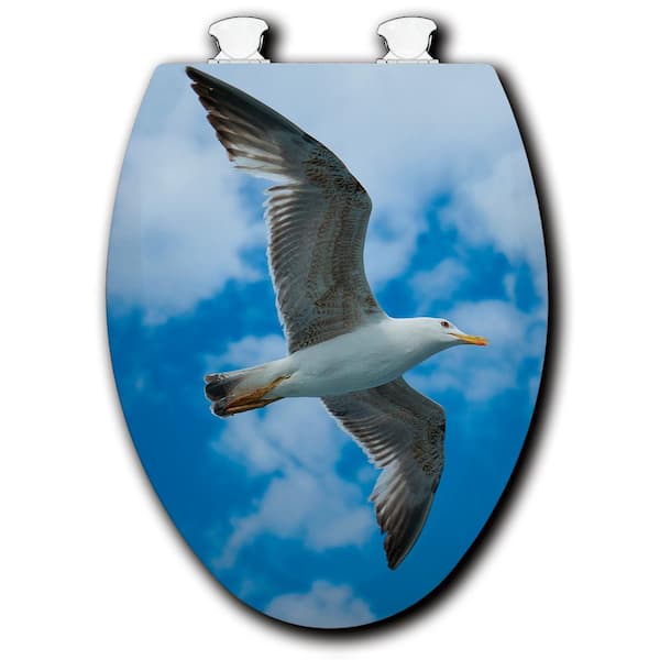 Unbranded Seagull Soars Elongated Closed Front Toilet Seat in White