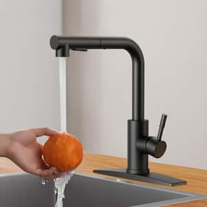 Single Handle Pull Down Sprayer Kitchen Faucet with Pull Out Spray Wand in Black