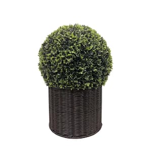 20 in. H Indoor and Outdoor Artificial Fig Tree in Woven Pot for Home Decor