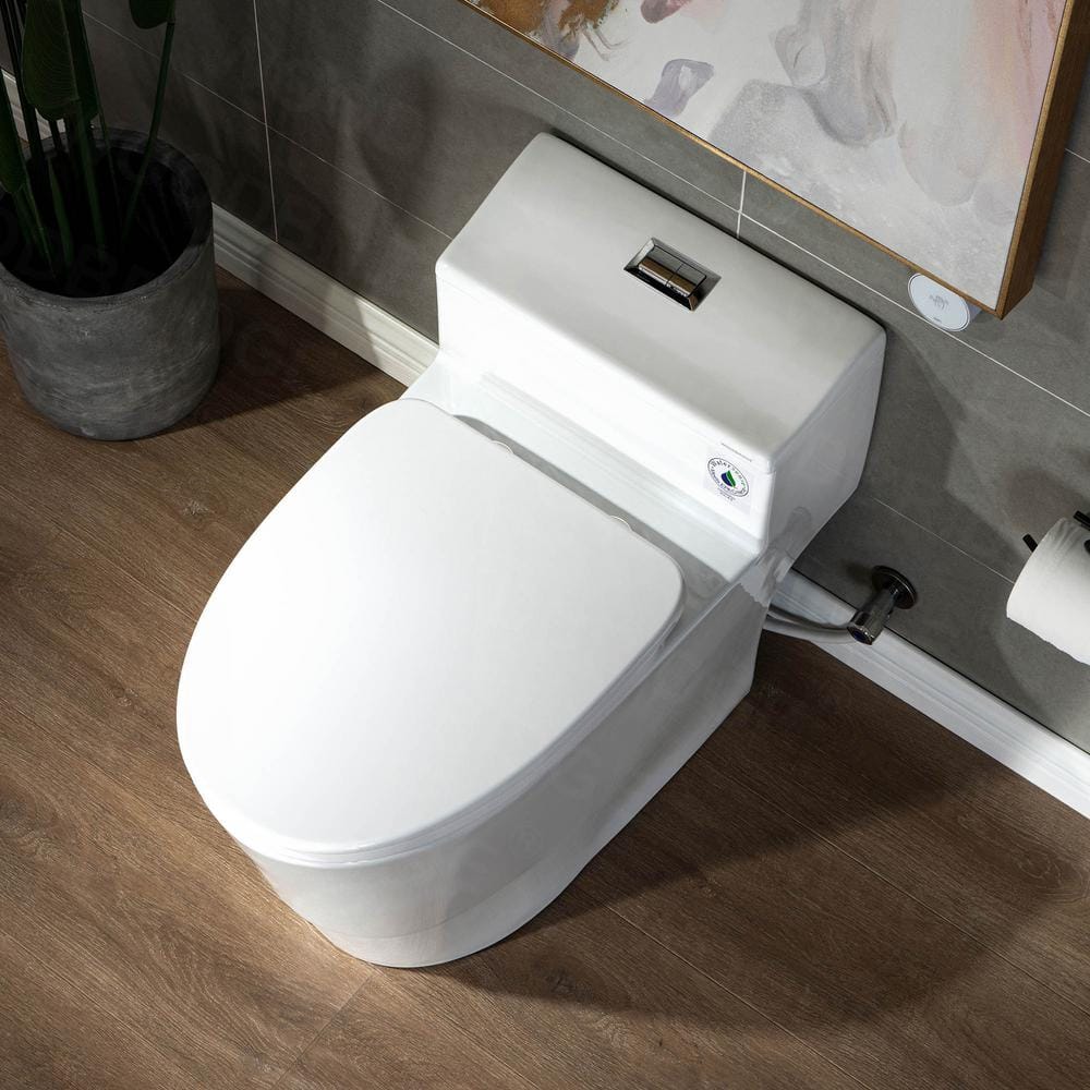 White Ceramic One-Piece Dual Flush Toilet with Chrome Button