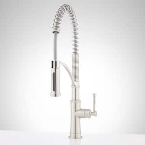 Beasley Single Handle Pull Down Sprayer Kitchen Faucet in Chrome