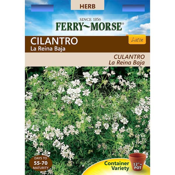 Ferry-Morse Herb Cilantro La Reina Baja Latin Seed