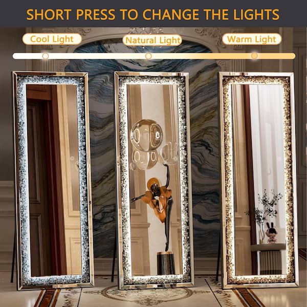 Vosuja Black 20 in. W x 63 in. H Rectangular LED Light Full Length