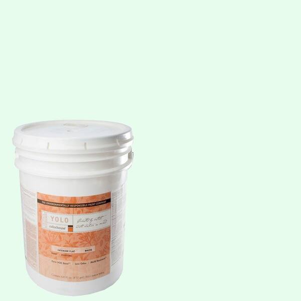 YOLO Colorhouse 5-gal. Air .05 Flat Interior Paint-DISCONTINUED