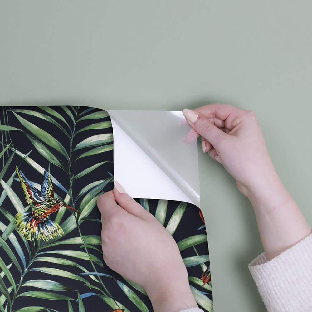Tropical Birds Black and Green Peel and Stick Wallpaper