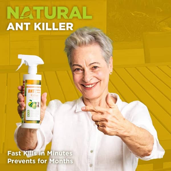 https://images.thdstatic.com/productImages/70eadf11-d548-4fee-a239-449d6a176aa7/svn/ecovenger-bug-killer-spray-eh1rm50032-76_600.jpg
