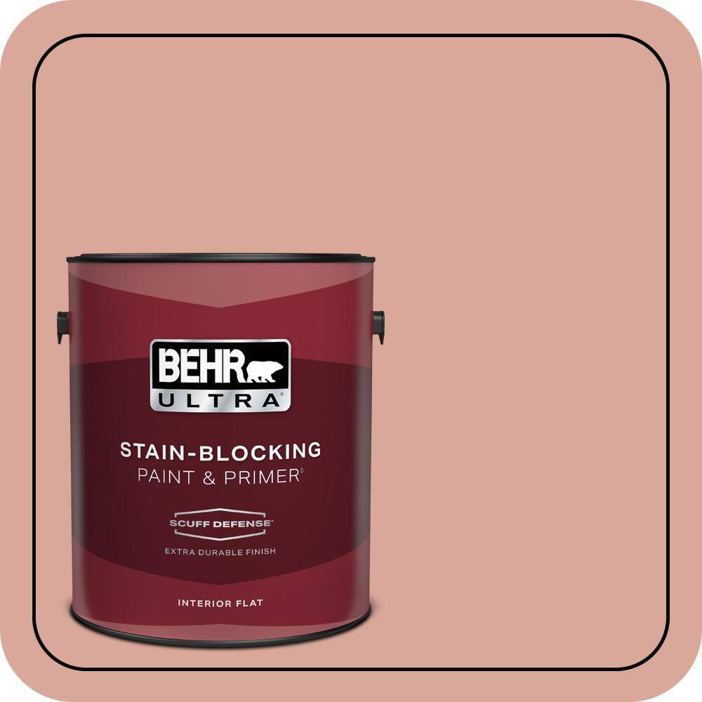 1 gal. #PMD-70 Cottage Rose Extra Durable Flat Interior Paint & Primer price history on PriceWatchPro