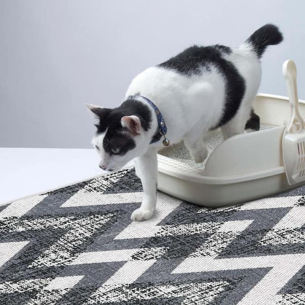 SUSSEXHOME 2 ft. x 3 ft. Mat Cat and Dog Litter Mat for Litter Box MAT-WLT-02-2X3  - The Home Depot