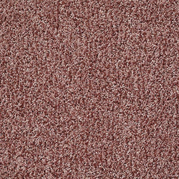 TrafficMaster 8 in. x 8 in. Twist Carpet Sample - Charming - Color Cedar Chest