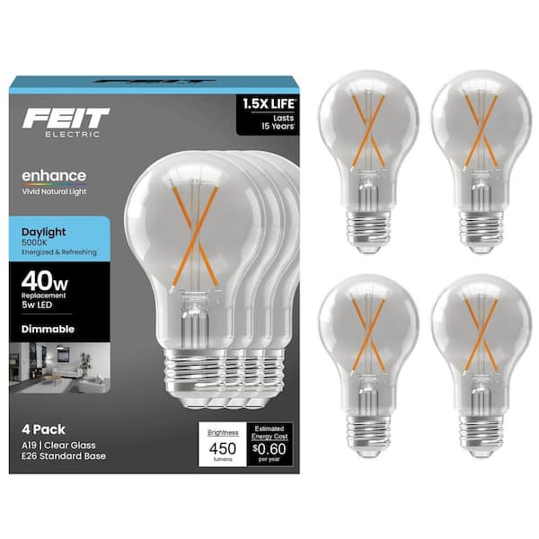 40-Watt Equivalent A-style A19 Dimmable CEC 90 CRI Clear Glass Filament E26 LED Light Bulb, Daylight 5000K (4-Pack)