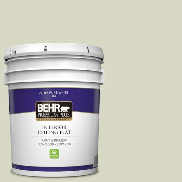 BEHR PREMIUM PLUS 5 gal. #S370-2 Feng Shui Ceiling Flat Interior Paint