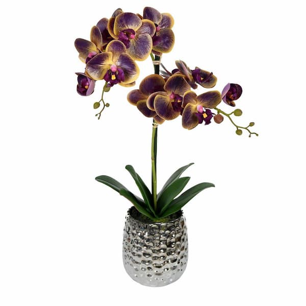 Vickerman 20.5 in. Purple Artificial Phalaenopsis Orchid Floral Arrangement in Pot