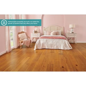 Take Home Sample - 5 in. x 7 in. Hales Oak Waterproof Antimicrobial-Protected Engineered Hardwood Flooring