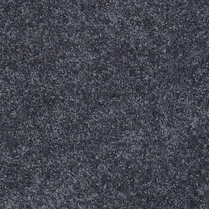 Brave Soul I - Darkest Navy - Blue 34.7 oz. Polyester Texture Installed Carpet