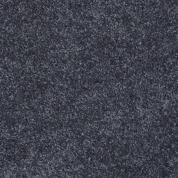 Home Decorators Collection Brave Soul I - Darkest Navy - Blue 34.7 oz. Polyester Texture Installed Carpet