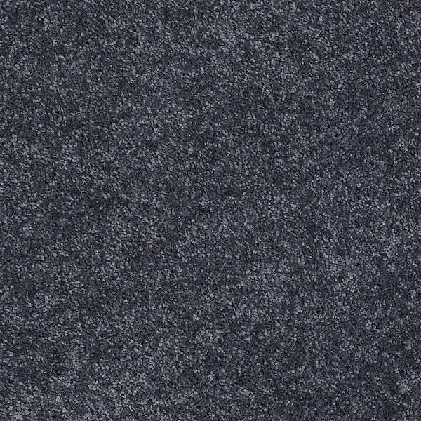 Brave Soul I - Darkest Navy - Blue 15 ft. 34.7 oz. Polyester Texture Carpet - Installation Required