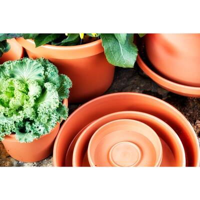 Terra 9.25 in. Chocolate Plastic Plant Saucer Tray