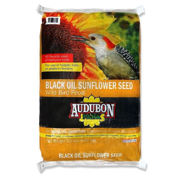 sunflower bird seed home depot