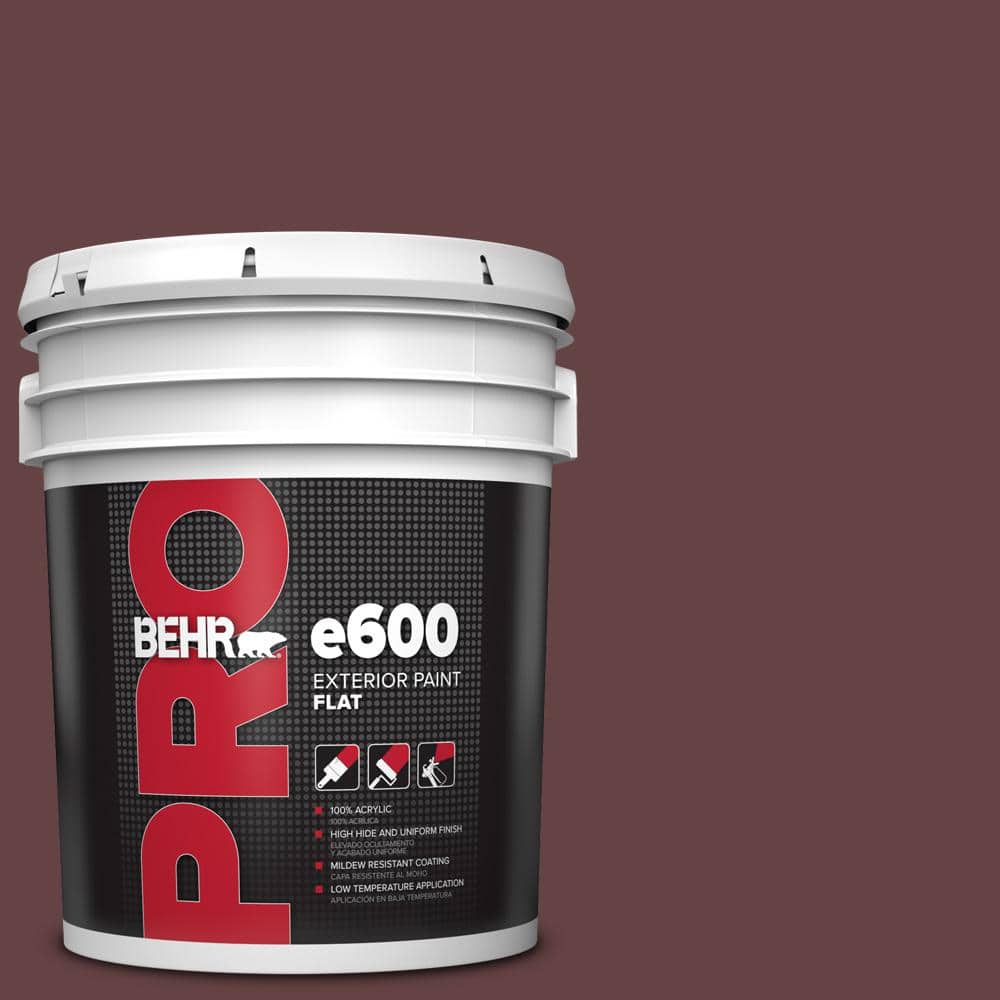 5 gal. #T11-10 Wild Thing Flat Exterior Paint price history on PriceWatchPro
