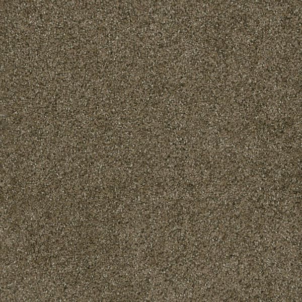 Trestle II-Crossroads Brown-60 oz. SD Polyester Texture Installed Carpet