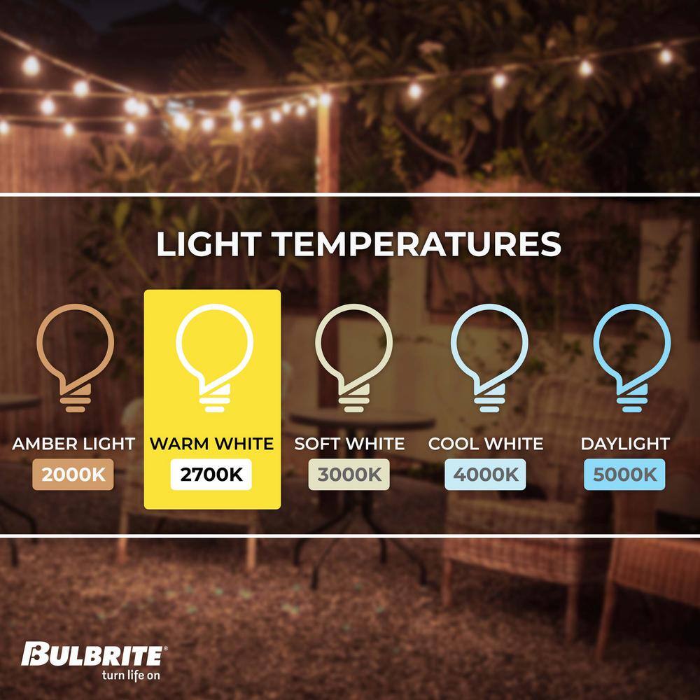 30 ft. Black String Light Kit with Clear Shatter Resistant LED Bulbs