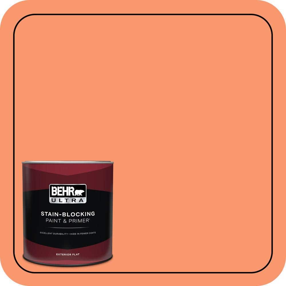 1 qt. #220B-5 Autumn Arrival Flat Exterior Paint & Primer price history on PriceWatchPro