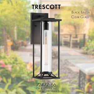 Trescott 1-Light Outdoor Black Wall Lantern Sconce