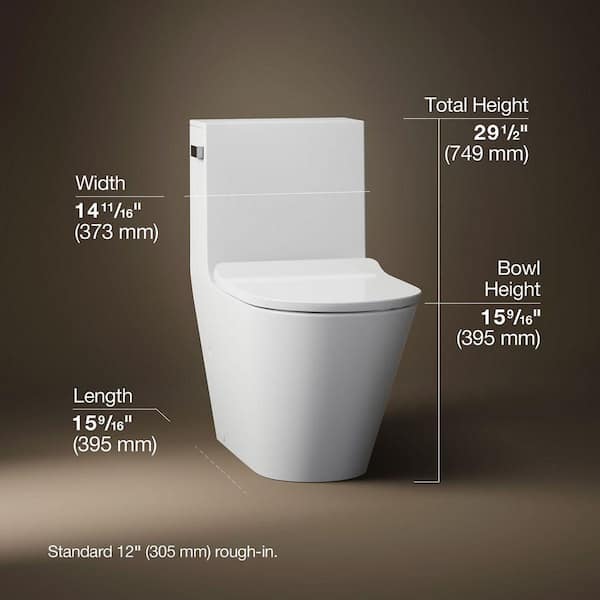 KOHLER Brazn 12 in. Rough In 1-Piece 0.8 GPF Dual Flush Elongated