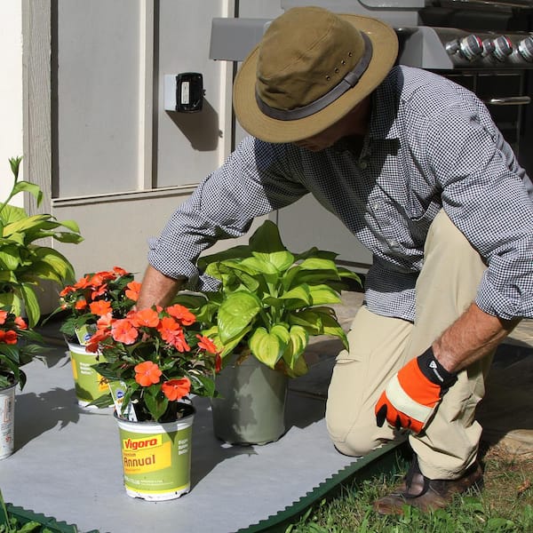 Cardboard sheets 5 ft x 4 ft for use in landscaping. - Livermore, CA Patch