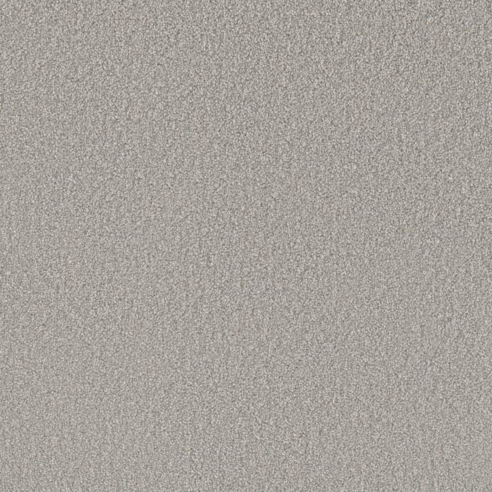 8 in. x 8 in. Texture Carpet Sample - Soft Breath Plus II -Color Wilshire price history on PriceWatchPro
