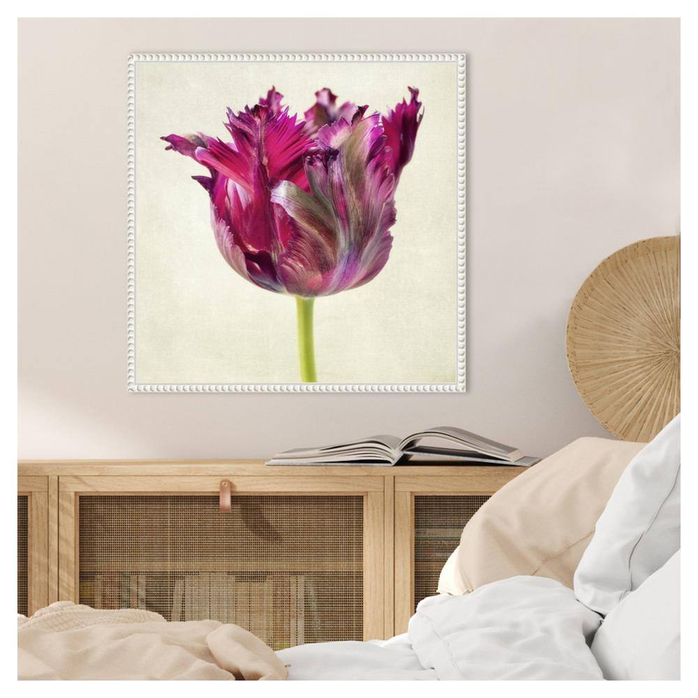 Single Parrot Tulip II Pink Canvas Wall Art with White Frame