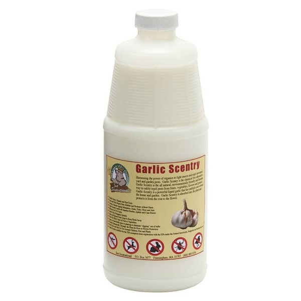Just Scentsational 32 oz. Garlic Scentry Animal and Insect Repellent