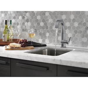 Pivotal Single-Handle Bar Faucet in Arctic Stainless