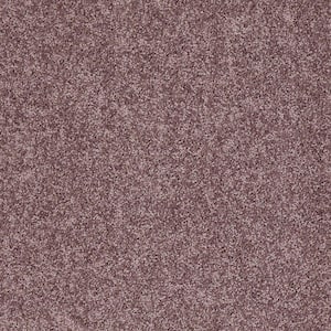 8 in. x 8 in. Texture Carpet Sample - Palmdale I - Color Saddle Soap