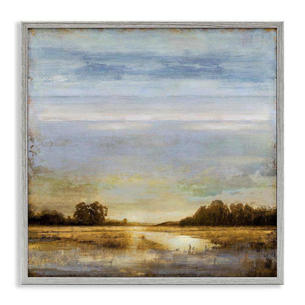 Sun Reflection Landscape by Chris Donovan Gray Framed Nature Giclee Art Print 12 in. x 12 in. price history on PriceWatchPro
