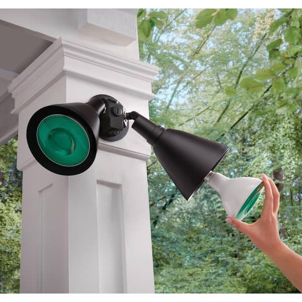 EcoSmart 90-Watt Equivalent PAR38 Green Color Decorative Indoor