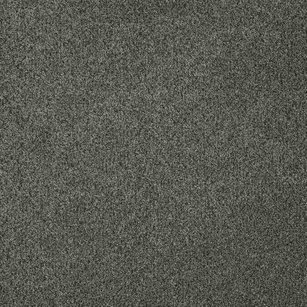 8 in. x 8 in. Texture Carpet Sample-Soft Breath Plus III-Color Bancroft
