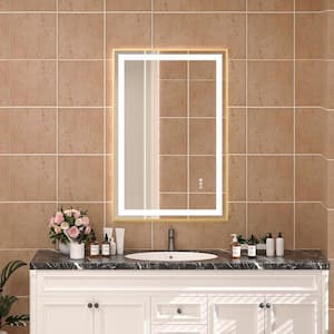 24 in. W x 36 in. H Rectangular Framed LED Anti-Fog Wall Bathroom Vanity Mirror, Tempered Glass, Backlit & Front Light