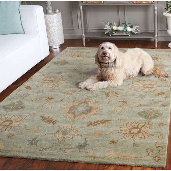 SAFAVIEH Wyndham 8 ft. x 10 ft. Light Green Abstract Floral Area