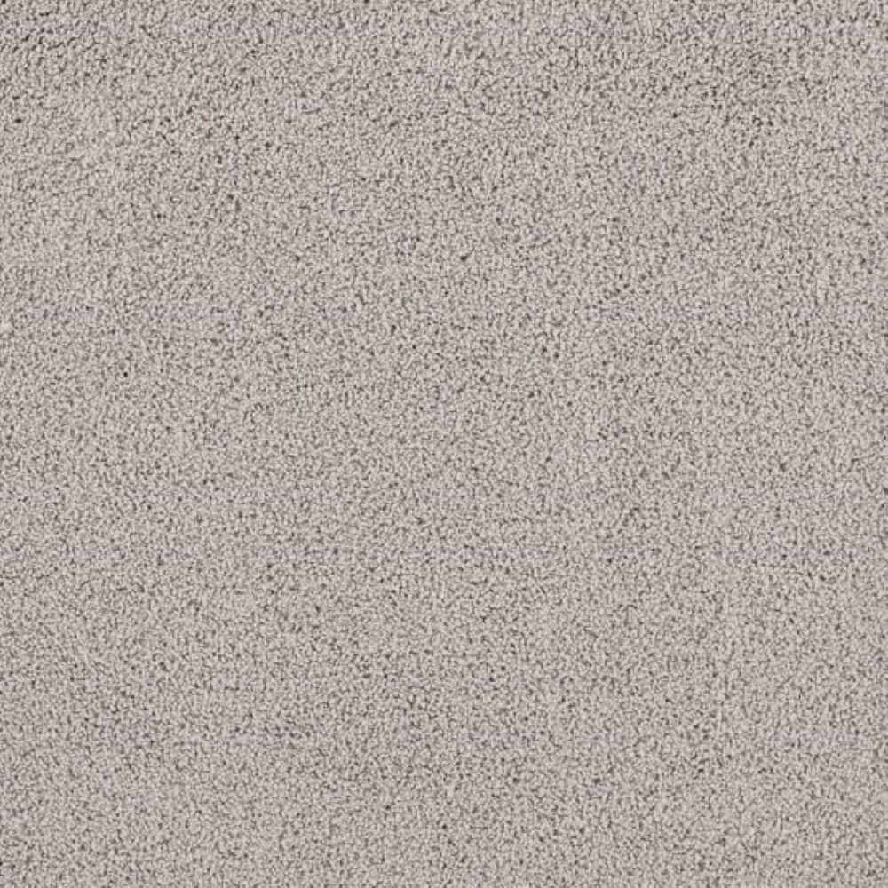 8 in. x 8 in. Texture Carpet Sample - Around The World - Color Dusty Taupe price history on PriceWatchPro