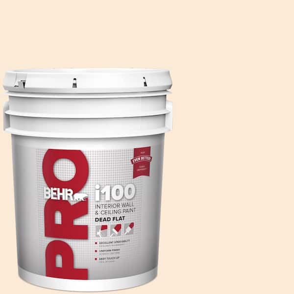 BEHR PRO 5 gal. #300C-1 Princess Ivory Dead Flat Interior Paint