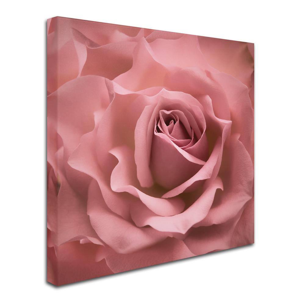 Misty Rose Pink Floral Canvas Art with Multicolor Frame