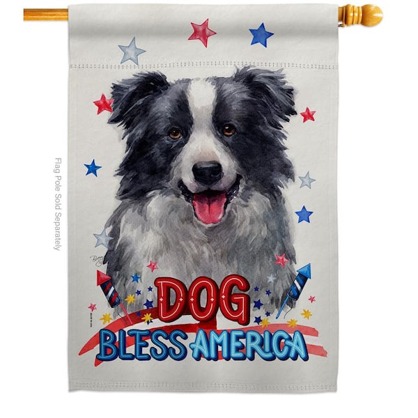 is a border collie a good house dog