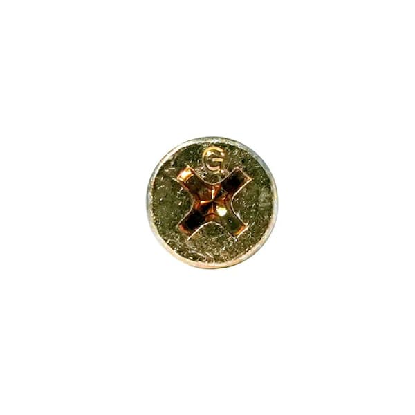 Grabber #7 x 2 in. Bugle Head Philips Gold Screw (1 lb. per Box